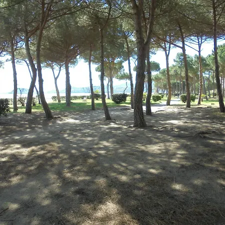 Panoramic
